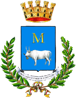 Logo del Comune